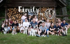 „Black“ vados australų aviganių nuotrauka