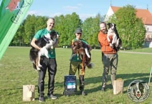 „Lucky Six“ vados australų aviganių nuotrauka