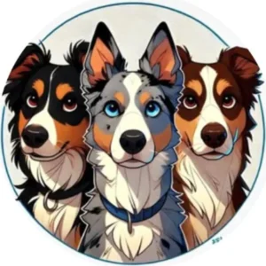 Duke and Latte – kennel graduates