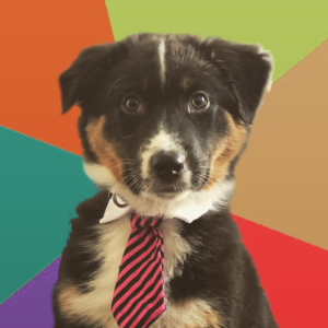 Librie – kennel graduate